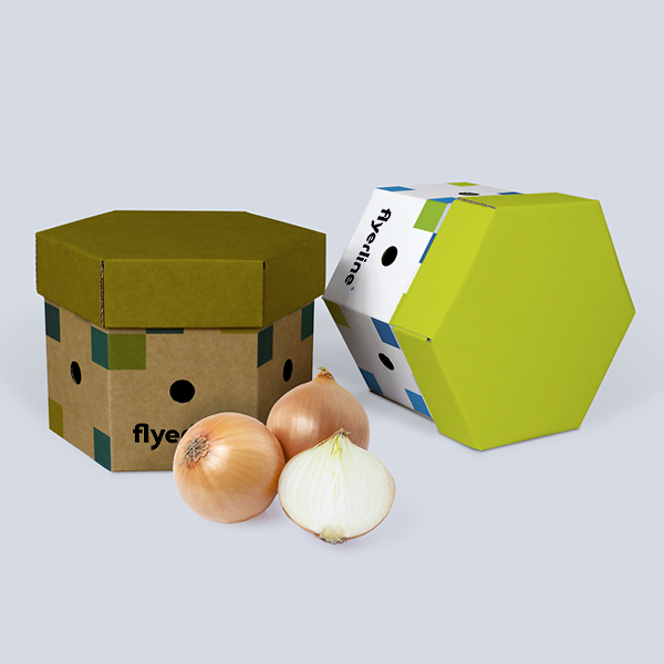 Weisse und braune Zwiebelboxen mit Zwiebeln zur Lagerung
