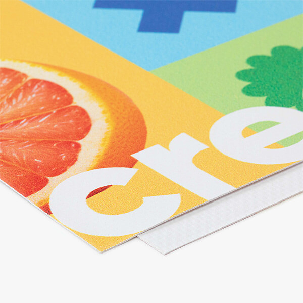 WEB Banner Bild3