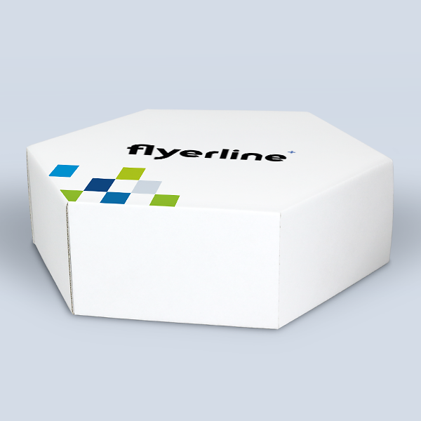 White six-sided Slip Lid Box for gifts and products