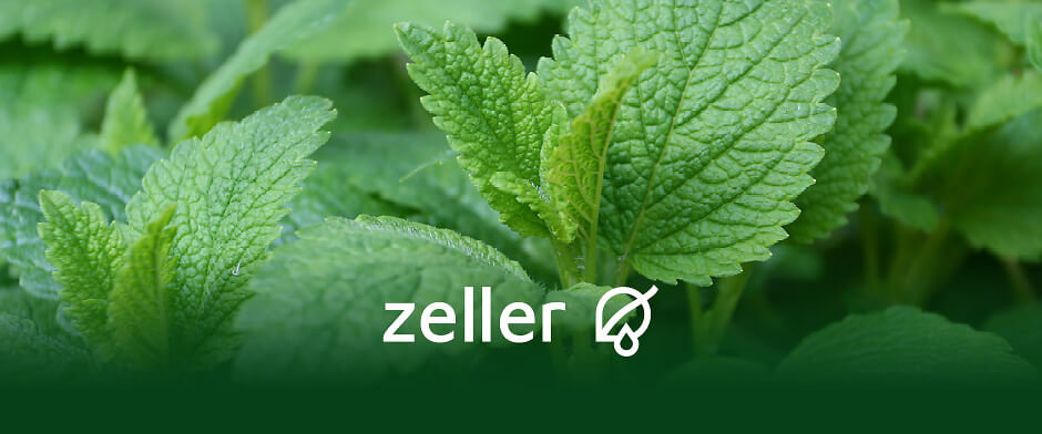 Case Study - Customised POS materials for pharmaceutical manufacturers - Blog