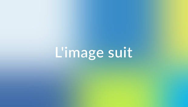 L'image suit