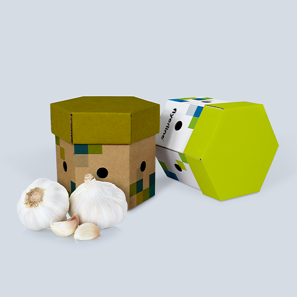 Small white and brown Onion and Garlic Boxes with garlic