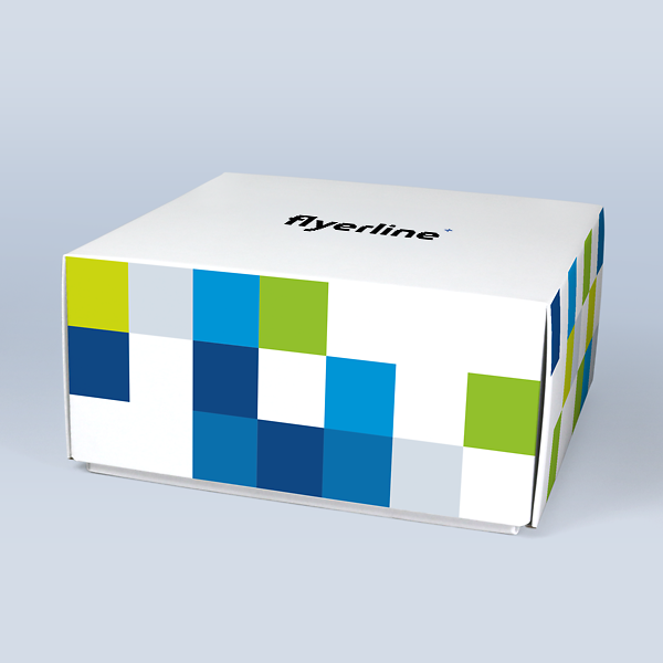 Carton cloche imprimé personnalisable pour cadeaux et produits