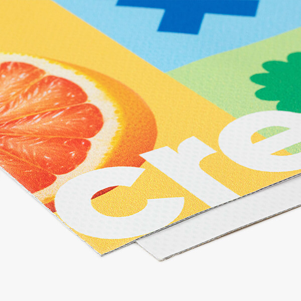 WEB Banner Bild3
