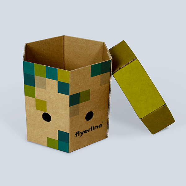 Open small brown Onion and Garlic Box with lid