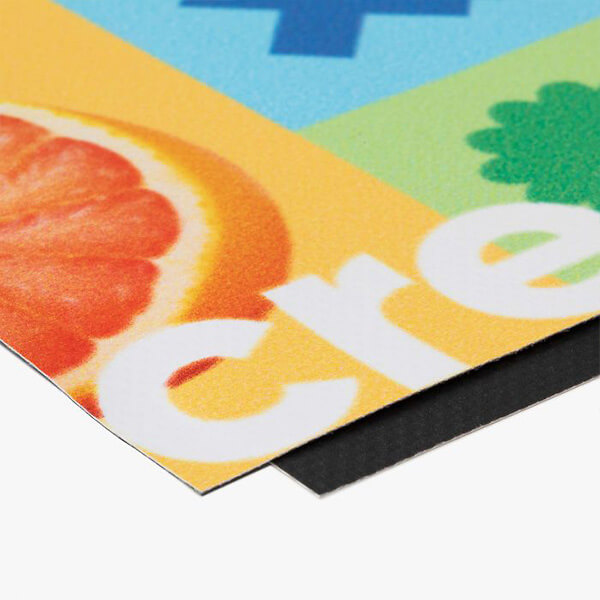 WEB Banner Bild3