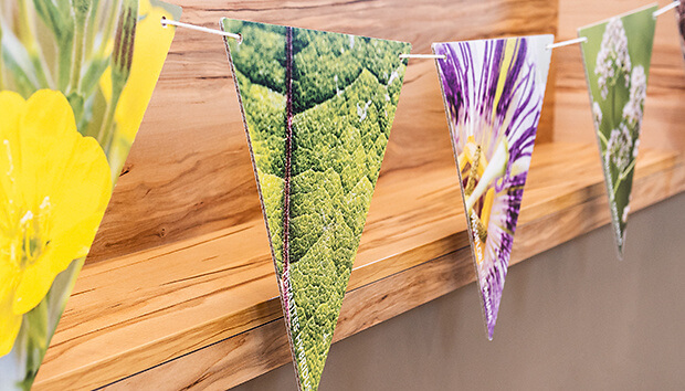 620x354px Girlande 620x354px Girlande