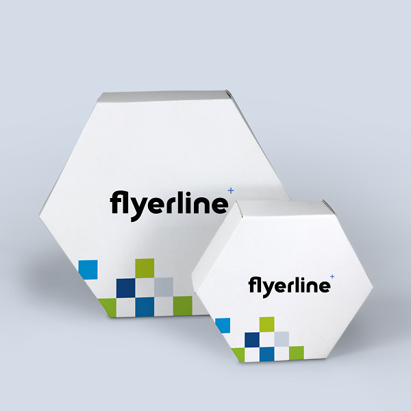 Printed six-sided Slip Lid Boxes in two sizes