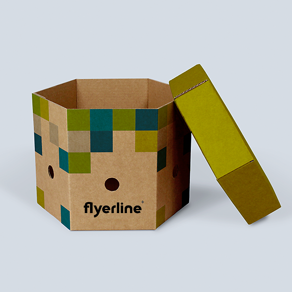 Offene mittlere braune Zwiebelbox mit grünem Deckel
