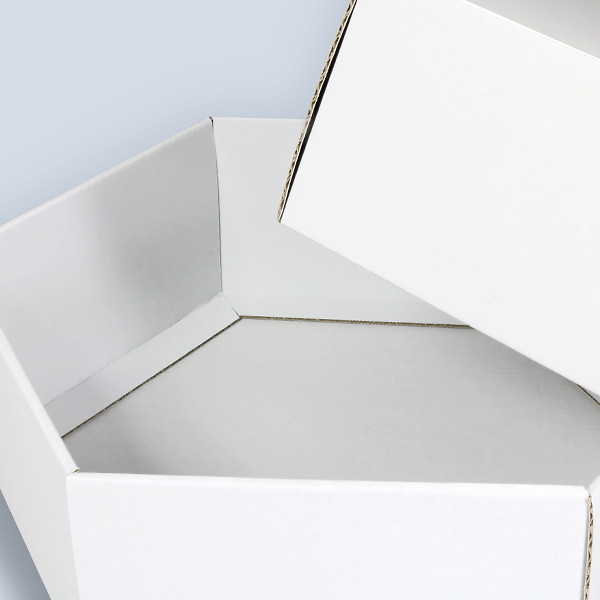Interior view of a white six-sided Slip Lid Box
