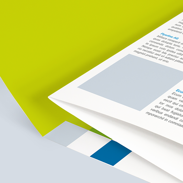 Detail der bedruckten Innenseite eines Selfmailers für Werbemailings