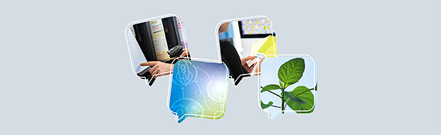 Der Flyerline Blog ist live Der Flyerline Blog ist live