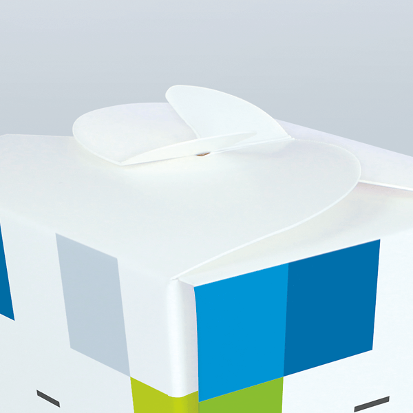 CH Produkt Slider Asiabox gross Bild4