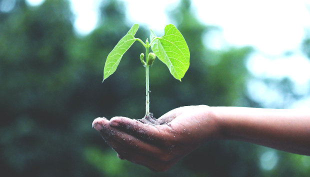 Flyerline - Umweltschutz